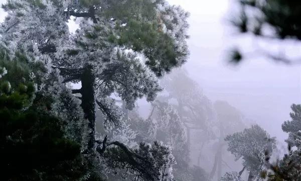 次元喵